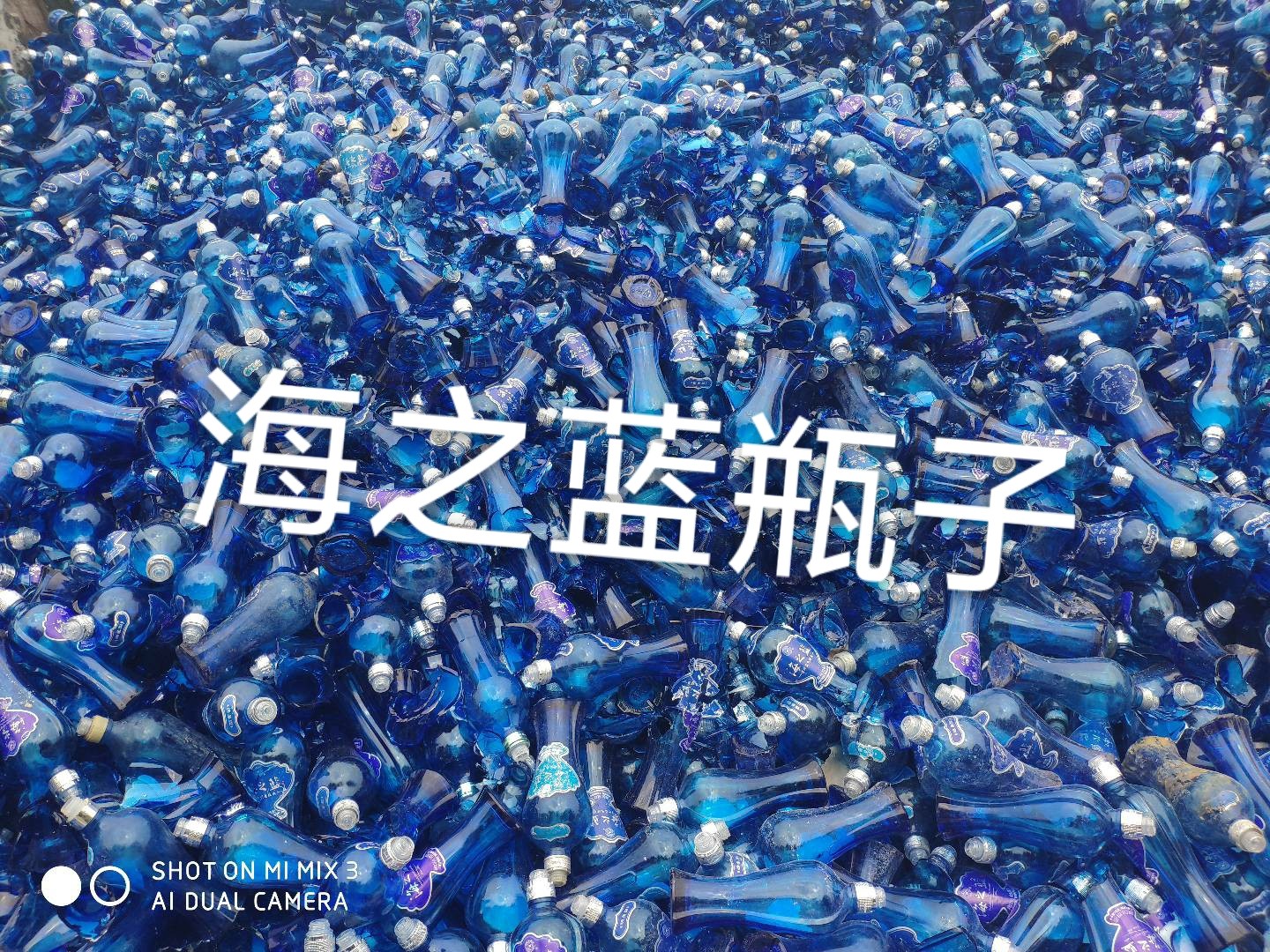 海之蓝瓶回收